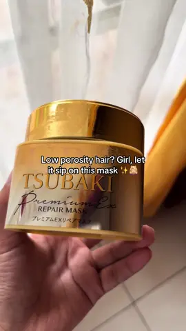 #lowporosityhair #tsubaki 