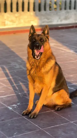 Gucci yetlag la taille ❤️