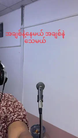 #ပန်းရောင်ဆောင်တဲ့ဆူးကိုမှ 