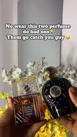 No be memes😂,The Sillage eh🤣 Both 65,000 Order on WhatsApp - 08054615364 #scentbyexa #khamrah #opulentoud #menperfume #affordabeperfumeformen 