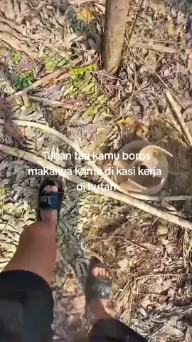 😅#fyp #anktambang #boros #kalimantan #dompeng 