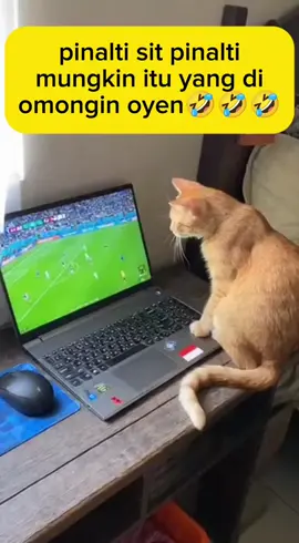 Ada aja kelakuan oyen ini  #viral #fyp #reels