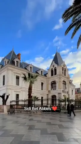 #سيدي_بلعباس #algerie🇩🇿_maroc🇲🇦_tunisie🇹🇳 #mohamedwassim #tiktoklongs #dzpower 