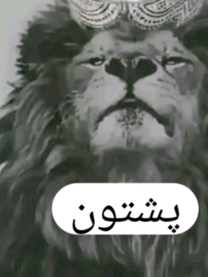 #🥰  #وډيوپري۔جوړه۔کړي۔چي۔خونددرکړي😘☝✋☺ 