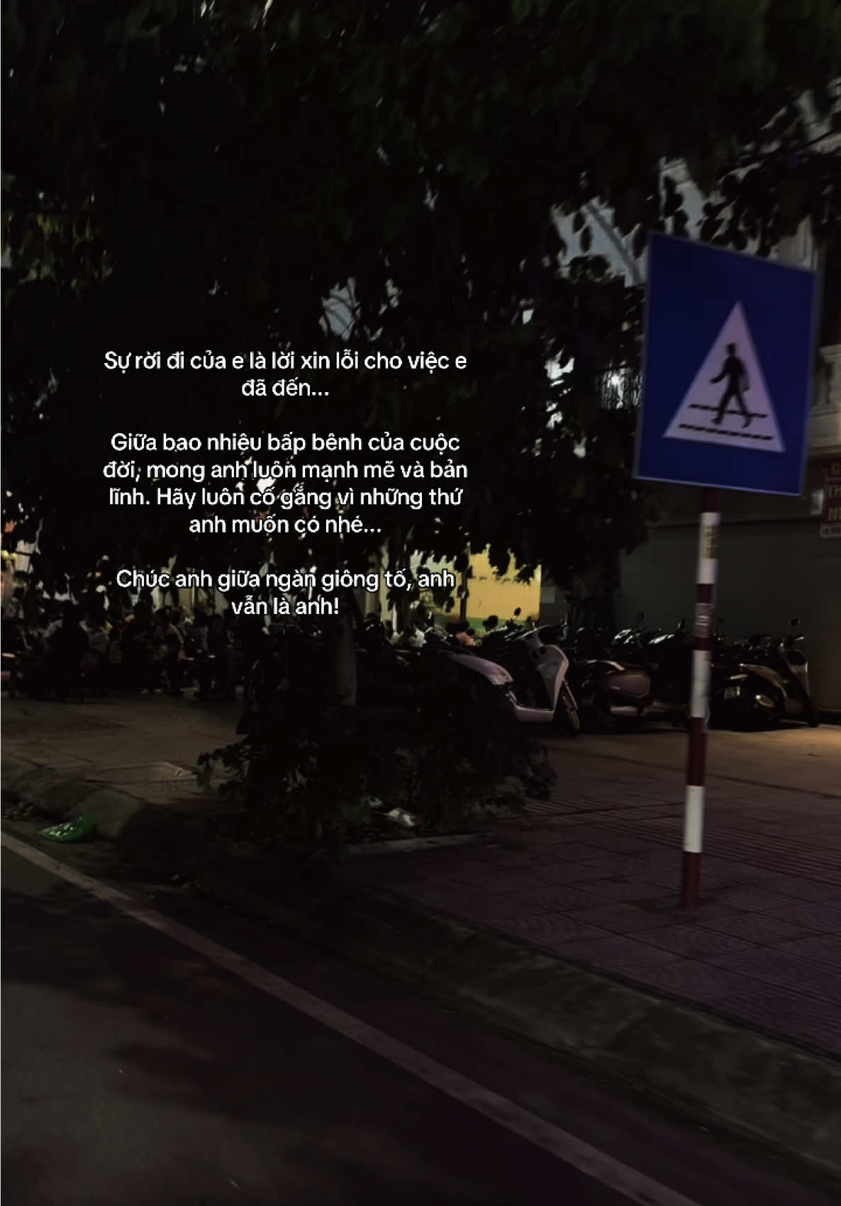 Em sợ anh lủi thủi một mình ... Nên em đã ở đây để thương anh ... Nhưng giờ người lủi thủi một mình lại chính là em. #tamtrang #xuhuong #sttbuontamtrang #stt_buồn_tâm_trạng #tâmtrạng 