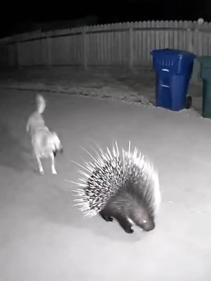 “Your studio in a single click” I create spokesperson videos with DeepBrain AI—fast, realistic, scalable. Want the same results? 👉 Link in my profile. #DeepBrainAI #SpokespersonAI #AIforBusiness #MarketingAI #ContentAutomation #ViralContent #AIVideo #AItrend #DigitalAI