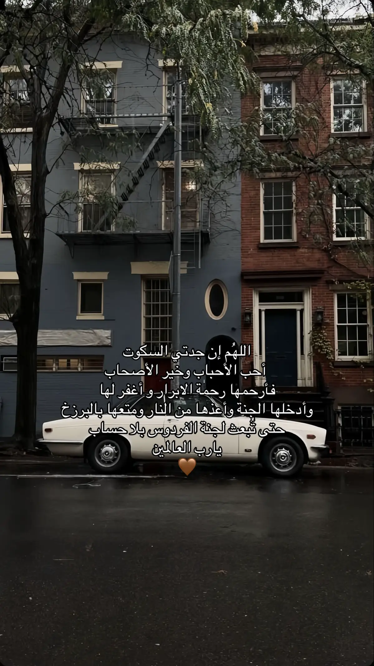 #صدقه_جاريه_لجدتي_الله_يرحمها #قران #دعاء #فقيدتي .