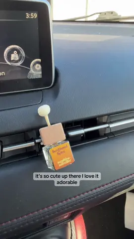 my fave new car fresheners from @Sunshine & Saltwater 🫶🏼