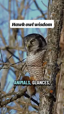 You know those moments that feel too perfect to be random? That’s not coincidence — that’s synchronicity. When you finally start living as your real self, life begins to line up in impossible ways. Reality mirrors your energy, not your wishes. So when the universe gives you that weird, perfect nudge — don’t brush it off. That’s confirmation: you’re aligned.  Keep going!  #Philosophy #Synchronicity  #CarlJung #SpiritualAwakening #HawkOwl