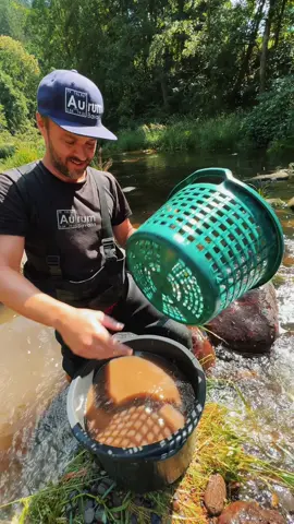 Golden day in bavaria #gold #goldmining #treasure #goldnugget #goldrush 