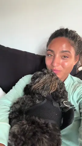 #boydog #boydogmom #nexttome 