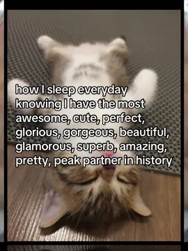 I LOVE THEM SMMM THEY R LITERALLY BEAUTY MADE BY AN GODS THEMSELVES, I COULD GLAZE MY LOVER ALL DAY THEIR PERFECT. NOT EVEN GLAZINF BCUZ SHES AMAZIGN QHWUWH #ilovemypartner #meow #iloveher #burps #fyp 