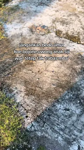 😭🤧😜 #trukstory #barangslundupan #bojoneuwong  #storydrivermuda #bahanswmu 