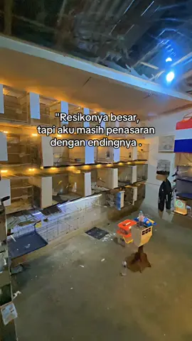 cuma mengikuti alur 😇 #kenari #ternakkenari #kenarinusantara #burungkenariindonesia #fyp 