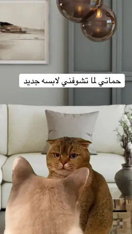 #Meme #MemeCut #السعودية🇸🇦 #シ゚viral🖤tiktok #اكسبلور 