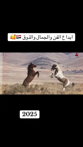#تعزصنعاء_تعز_عدن_اب_ذمار_حجة_حضرموت_ #اكسلبورررررررررررررررررررررررررررررررر👍 