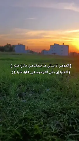 لا أبـالي ما فقـدت إن بقـي الأسـلام 📕🖋️ . . . . . #مسلم #موحد #الدمشقي #غرباء #مخيم #الهول #اسرانا #العفيفات #اصبروا_فأن_الله_لايضيع_اجر_المحسنين #دير_الزور #الحسكة #CapCut 