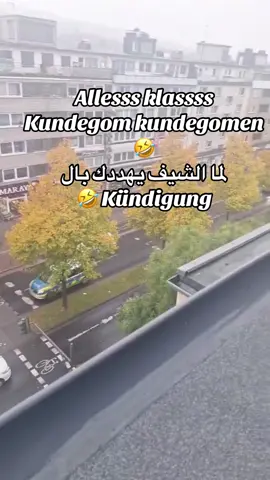 #الشعب_الصيني_ماله_حل😂😂 #düsseldorfgermany🇩🇪 