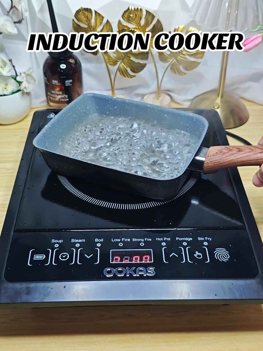 Induction Cooker Touch Screen Multifunctional 2200W#inductioncooker #inductioncooker2200w #ookasinductioncooker #affordableinductioncooker #fyp 