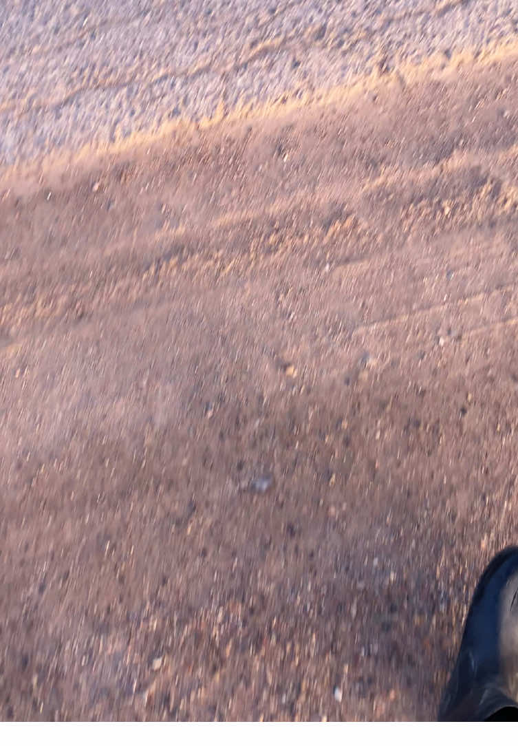 Я перешагнул через себя и увидел это  #nature #fyp #рекомендации #отрывокдневника 