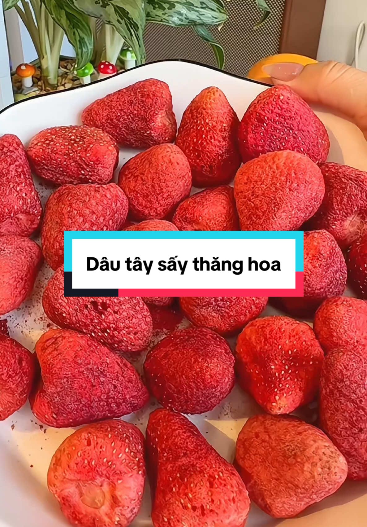 Dâu tây sấy thăng hoa giòn rụm, thơm nứt, giữ nguyên hương vị của trái dâu tươi chín #celinecam #anvathailam #dautaysaygion #dautaysay #traicaysay 