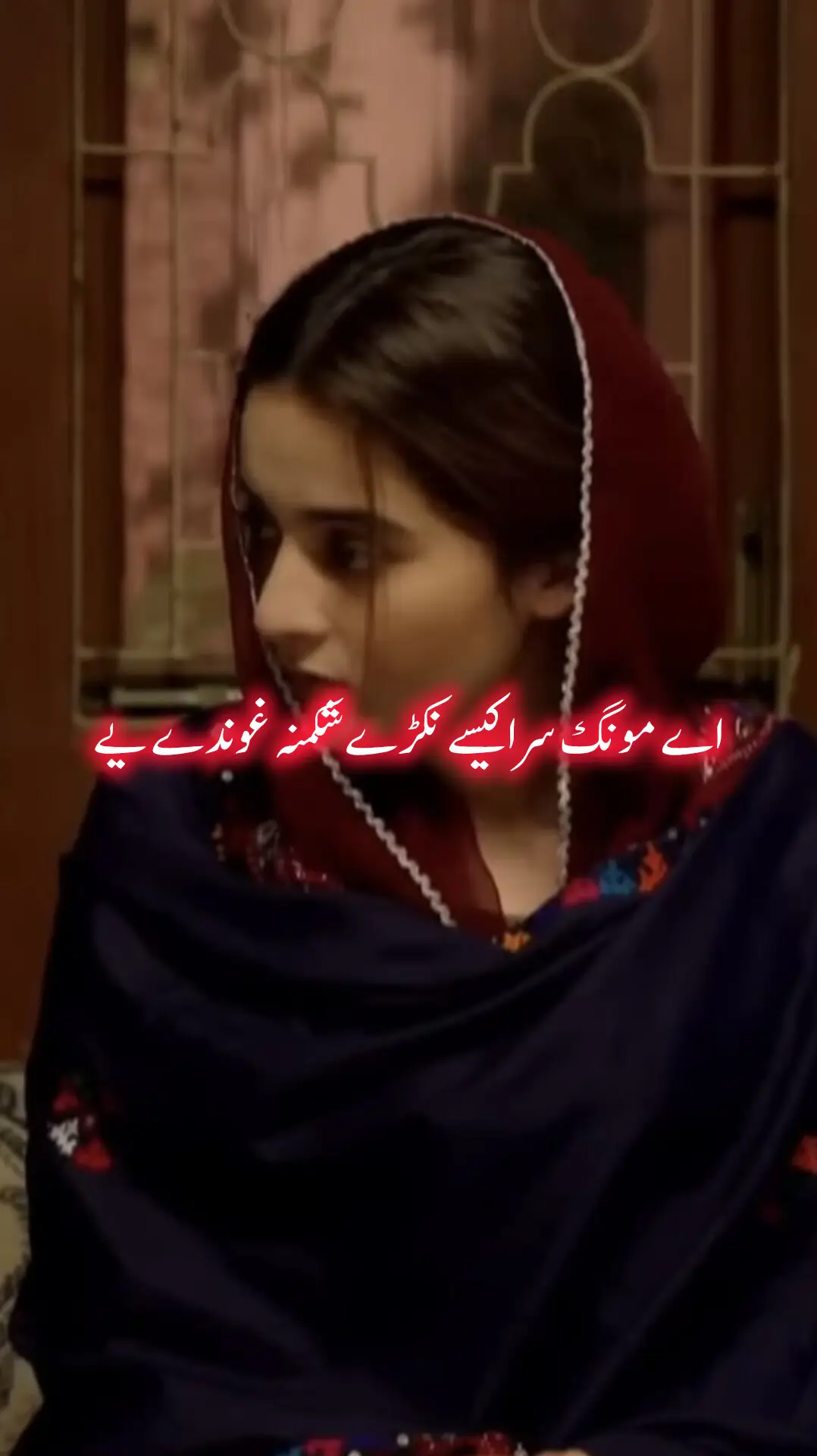 اے مونگ سرا کیسے نکڑے شکمنہ غوندے یے❤️👉#viral #foryou #growmyaccaount #plzzsupportme #rehangulli100 