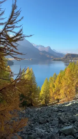 Silvaplana in Switzerland 🇨🇭  . www.FarmTourSwitzerland.com . . #switzerland #silvaplana #hiddengems #tourguide #farmexperience @FarmTourSwitzerland 