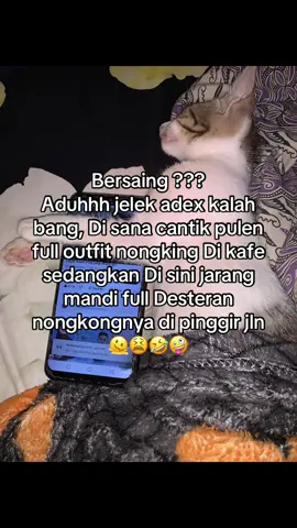 Pasti adex kalah aduh bg#4you #fppppppppppppppppppp #misss 