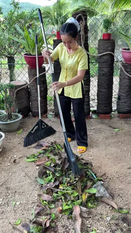 Chổi cước quét sân #cosauthattha #giadung #choicuoc 