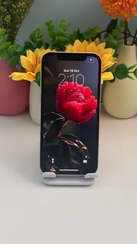 iOS 26 how to get 3D spatial wallpaper background for  your iPhone    How to set up iPhone wallpaper tutorial How to apply iPhone live wallpaper live wallpaper wallpaper iPhone  wallpaper 8K wallpaper#capcut #capcutforus #capcutpioneer 
