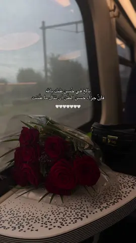 فإنَ جزاء حُسن الظن ان تنال ما ظننت 🤍