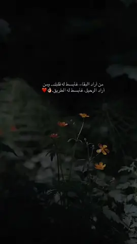 من أراد البقاء، فأبسط له قلبك.. ومن أراد الرحيل، فابسط له الطريق. ♥