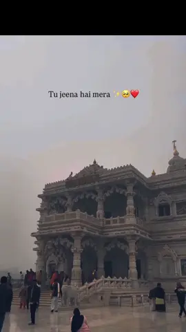 #vrindavan <3>🫶🛕🫀#iskcon #radhakrishna #fypシ #godsplan #lordkrishna #radhakrishna #radheeradhee #hareykrishna🦚❤️ 