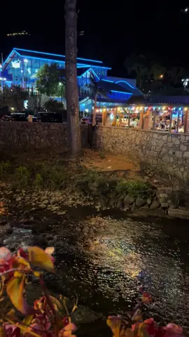 Watching this bear scare everyone in the restaurant was the highlight of our trip 😂 10/17/15 Gatlinburg Tn! 