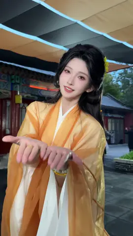 环绕版纸鱼，美晕了