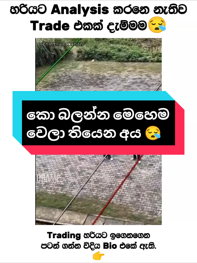 කො බලන්න මෙහෙම වෙලා තියෙන අය 😪#foryoupage #fyp #foryou #fypviralシ #viral 