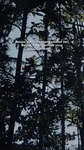 #foryourpages #fypシ゚ #hutan #fyppppppppppppppppppppppp 