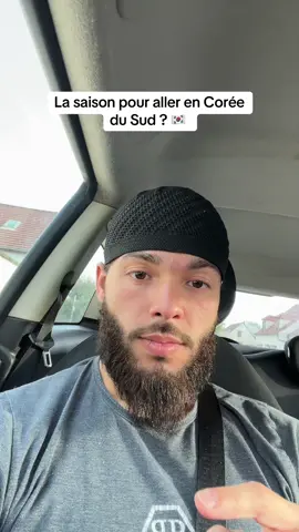 La saison pour aller en Corée du Sud ? 🇰🇷 