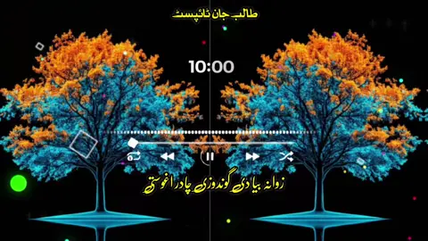 #pashto #nazam #foryou #foryoupage #unfreezmyacount @꧁❤•༆$╾━╤デ╦︻ بی فروا ھلک 