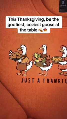 Just a silly goose being thankful this Thanksgiving 🍁🍂 #thanksgiving #goose #chrismast #christmasgoose #festival 