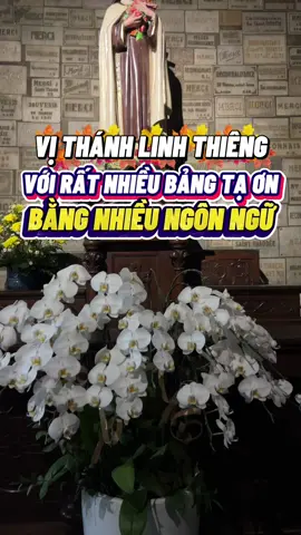 Vị Thánh linh thiêng với rất nhiều bảng tạ ơn bằng nhiều ngôn ngữ#hanhhuongconggiao #TikTokAwardsVN #ducmenuicui #nhatho #conggiaovietnam 
