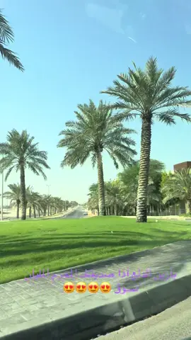 #2025 #مالي_خلق_احط_هاشتاقات #fooorrryyooouuuupppaaagggge #الصديق 