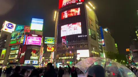 shibuya crossing #shibuya #japan #tokyo #japantravel #fyp