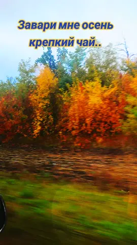 #осень#музыка#дорога#♥️♥️♥️♥️♥️♥️♥️♥️ 