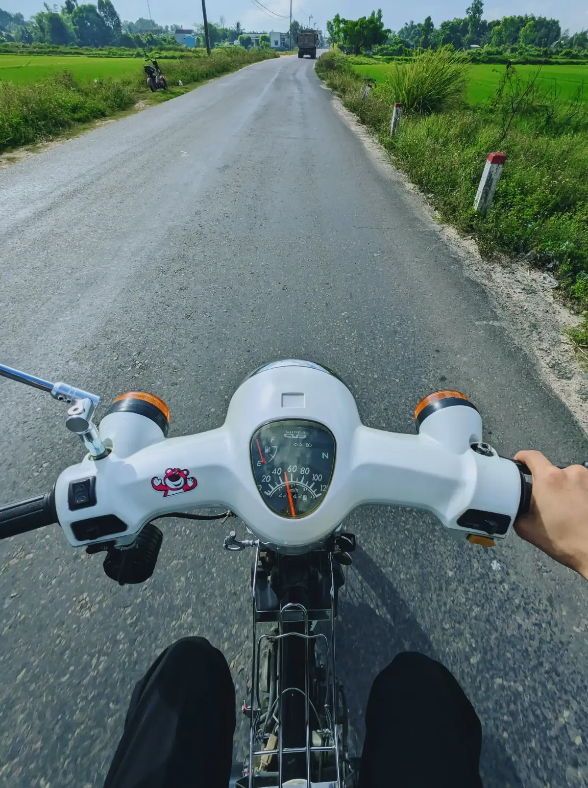 Cũng sạch sẽ thơm tho 