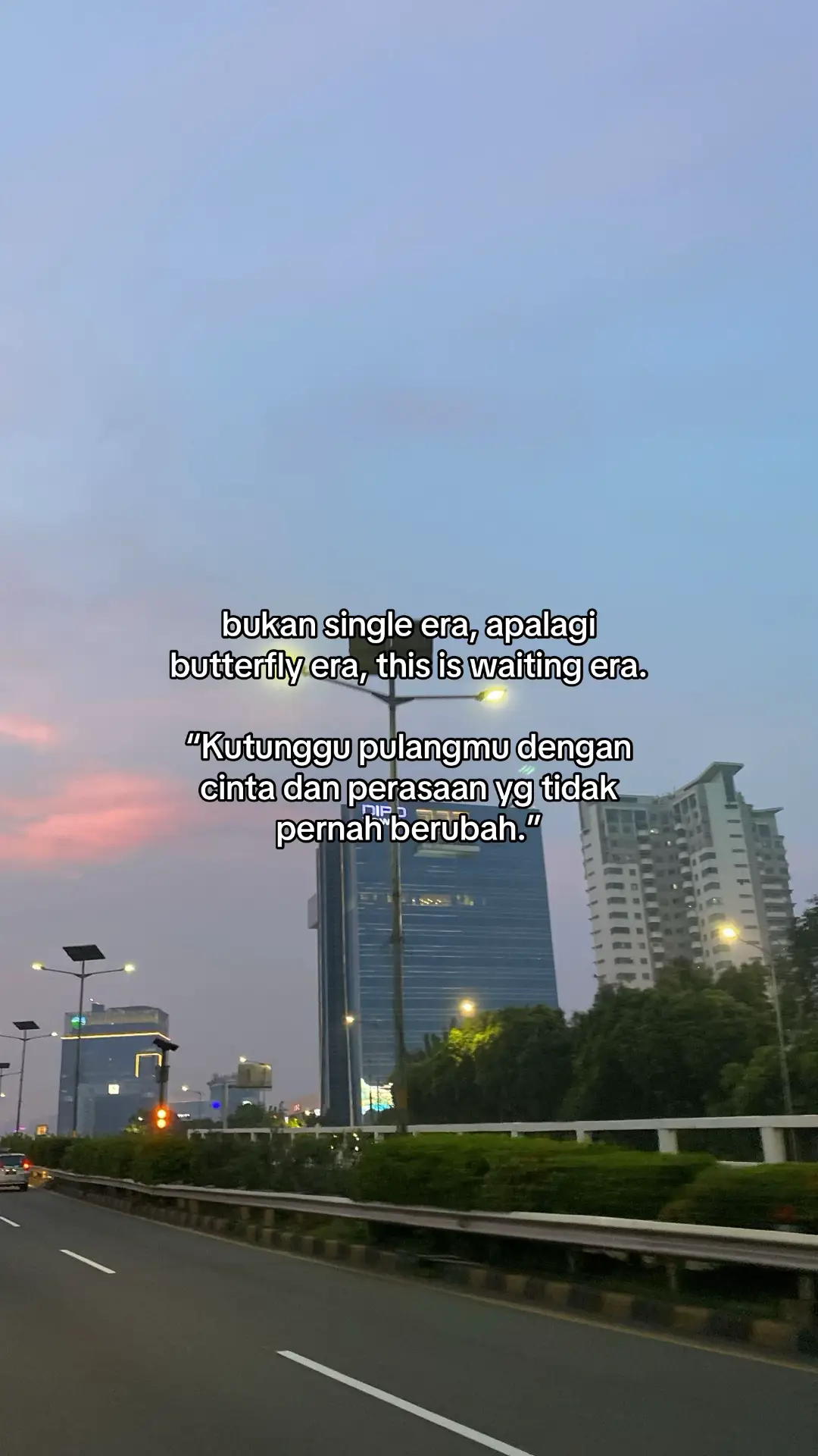 #ldrstory #🇮🇩🇯🇵 #pejuangjarak #suamiistribahagia #nikahmuda 