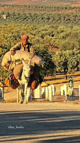 وجه كلمه من قلبك للخال الله يطول بعمرو 😍❤️#مصور_ريبر📸 #تصوير_طبيعة #riber_korba #afrin #kurdistan 