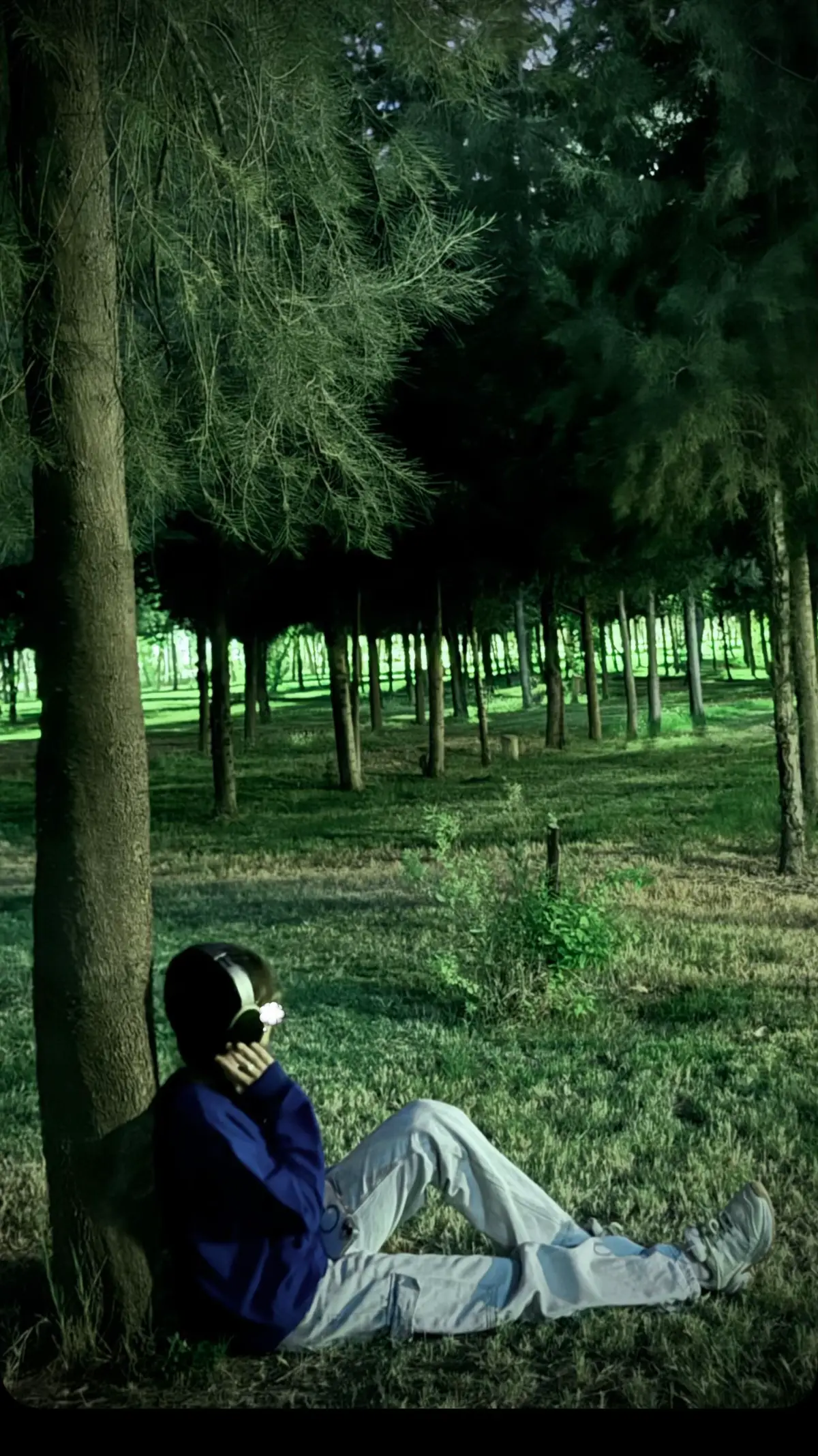 Place of dreams. #iraq #fyp #fyppppppppppppppppppppppp #parksami #amazon 