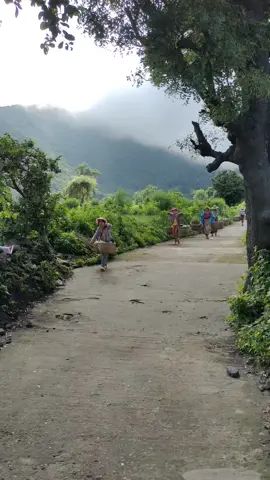 လုလင်ငယ်သွေးအားမာန်မွေးရမယ်လေ... #ပုပ္ပါးတောင်ပေါ်ရွာ #NatureMan