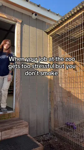 Bella has one goal in life and that’s to grab hair. I don’t think anything makes her as happy as a fistful of hair.  